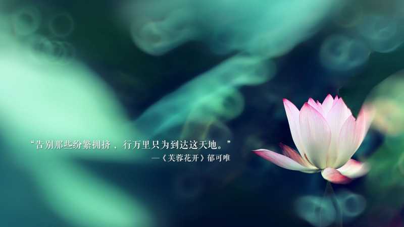 莳字取名寓意是什么 带莳字的吉利名字大全