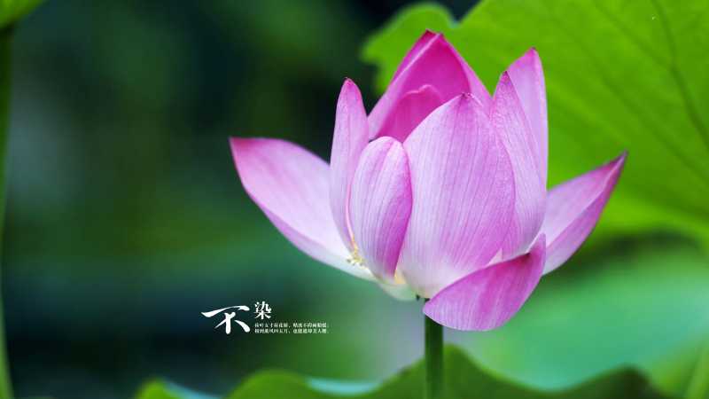 告别炎热的夏天，立秋后还要热多久？