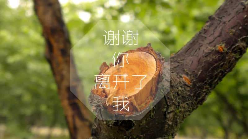 毛姓男孩名字大全