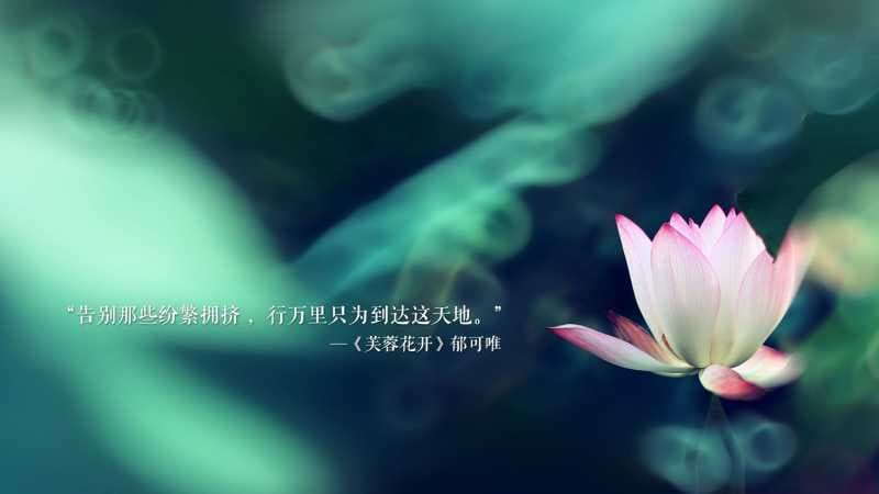 梦见酒瓶