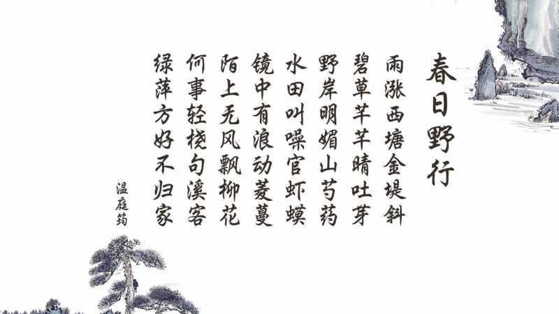 卧室窗台放什么植物风水最好最招财