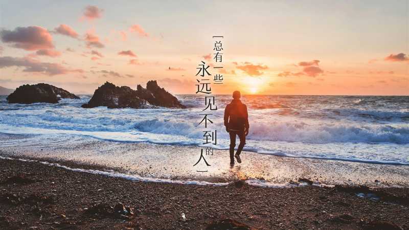 房子后面种什么树招财又旺宅风水好
