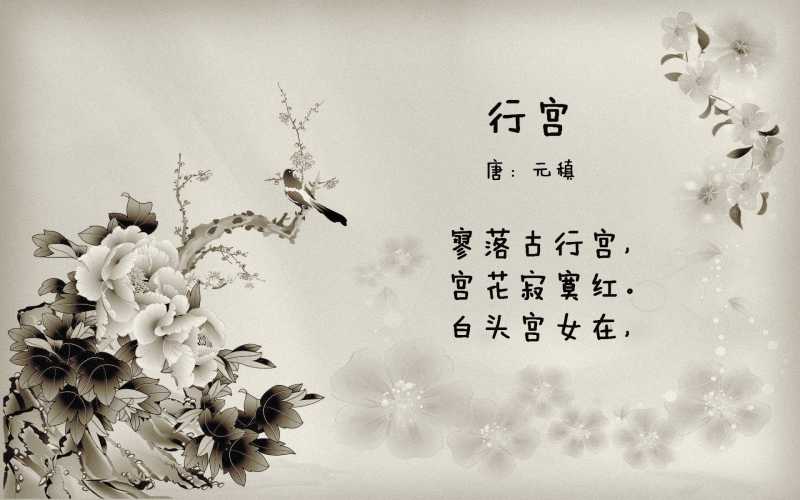 大门左边有棵杏树好吗 门前栽树的禁忌