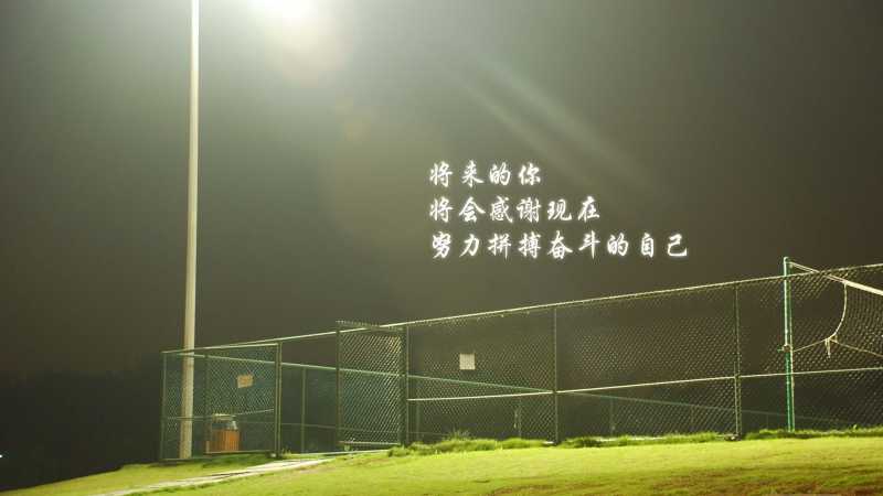 带晨字的网名哪些能旺运招财