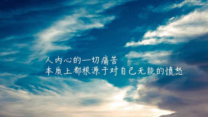 招财辟邪花哪些适合养在家里