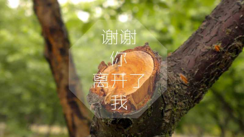 台湾人的性格分析