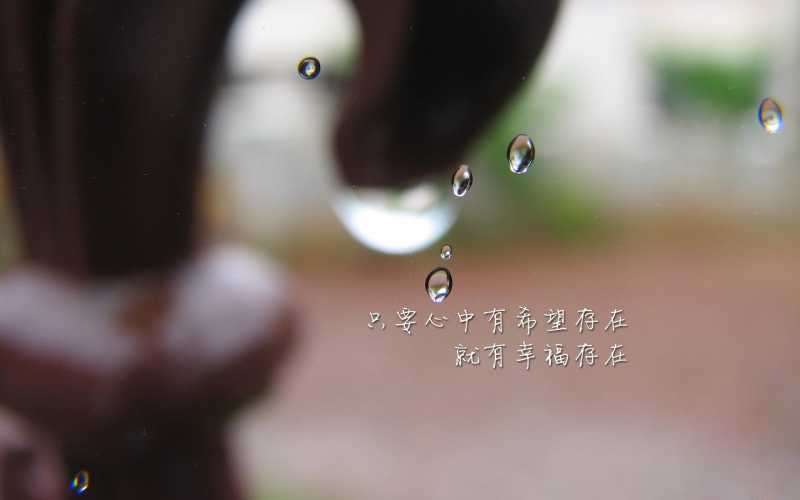 霜降降霜含义,霜降降霜是真的吗?
