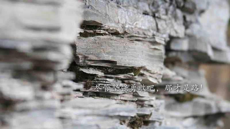 二十四节气之小寒农谚大全