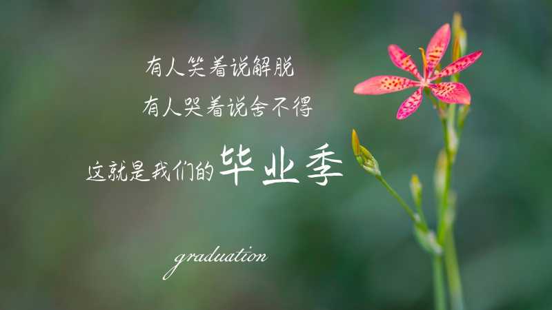 A型血的你如何挑衣？