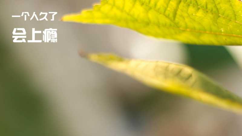 星座血型与美容