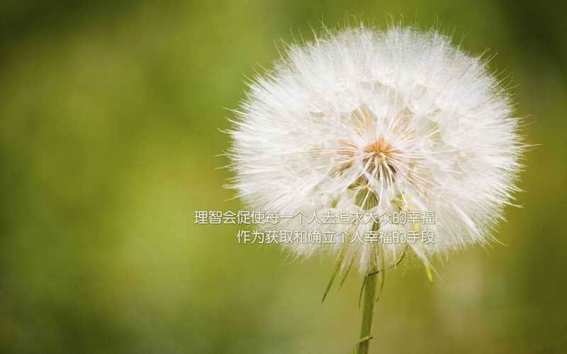 血型看说话习惯