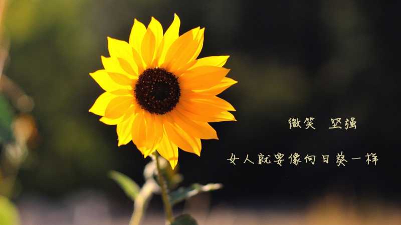 如何发展生命潜能