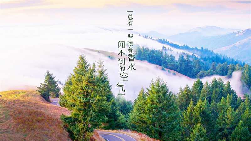 2010中国富豪星座排行榜