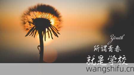 十二星座性格代表的颜色