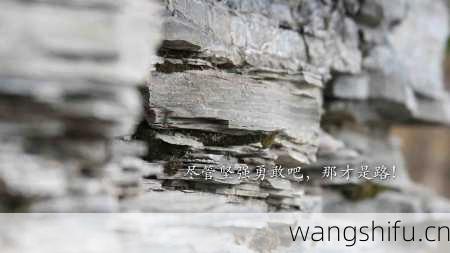 48星区详解：狮子处女座的性格分析