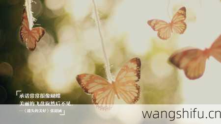 48星区详解：处女座一的性格分析