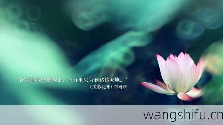 48星区详解：金牛双子座的性格分析