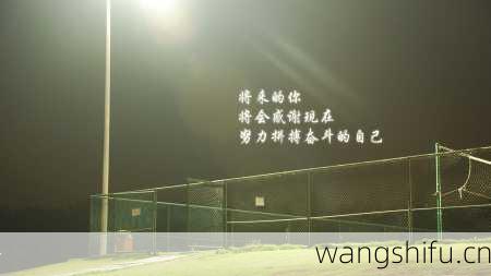 12月12日生日花语：欧石南，12月12日是什么星座？