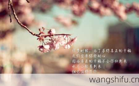 11月7日生日花语：烟雾花，11月7日是什么星座？