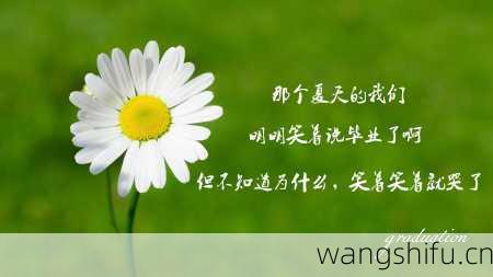 10月27日生日花语：紫苑花，10月27日是什么星座？