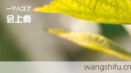 12月6日 (射手座) 生日密码