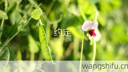 1月29日 (水瓶座) 生日密码