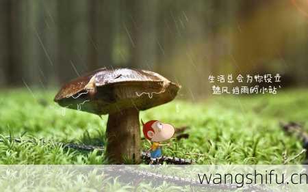 1月3日 (摩羯座) 生日密码