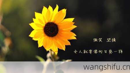 8月29日生日花语：木剑锦葵，8月29日是什么星座？